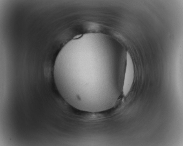 X0000089730379200707201846