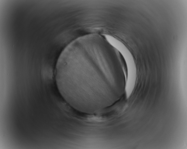 X0000089730380200707201846