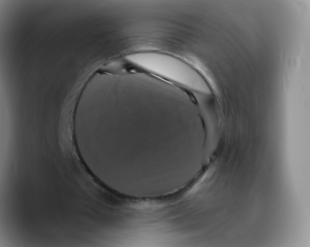 X0000089730385200707201845