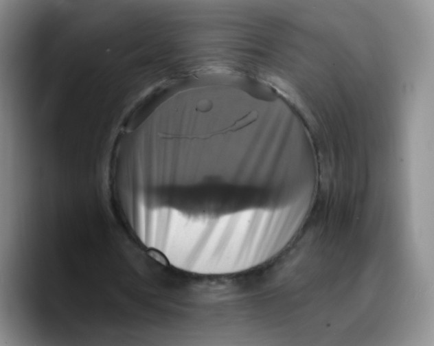 X0000089730386200707201845