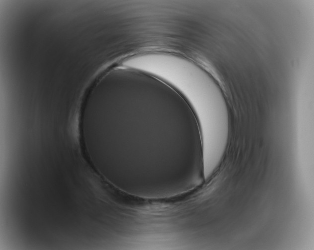 X0000089730387200707201845