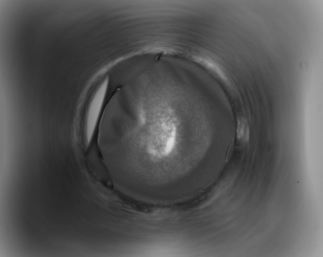 X0000089730388200707201845