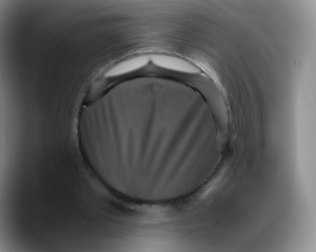 X0000089730389200707201845