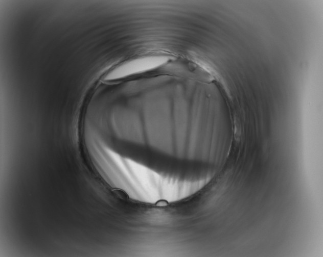 X0000089730390200707201845