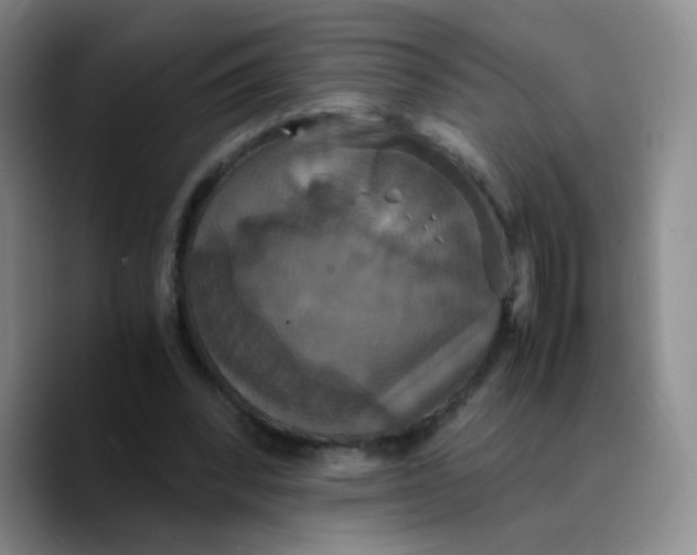X0000089730392200707201845
