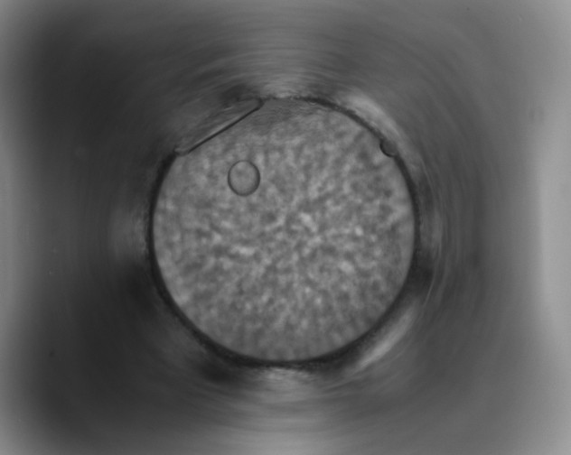 X0000089730393200707201845