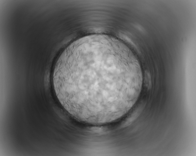 X0000089730394200707201845