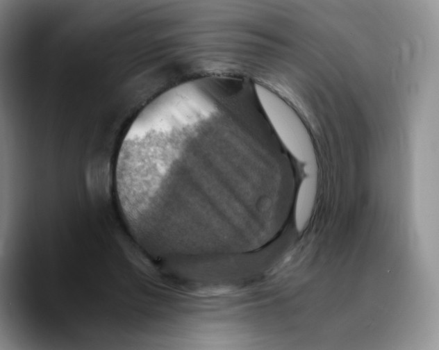 X0000089730397200707201845