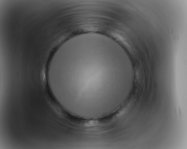 X0000089730398200707201845