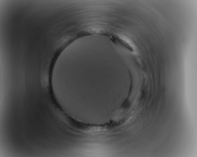 X0000089730399200707201845