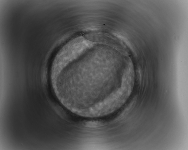 X0000089730400200707201845