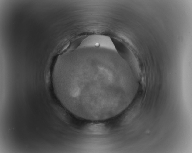 X0000089730403200707201845