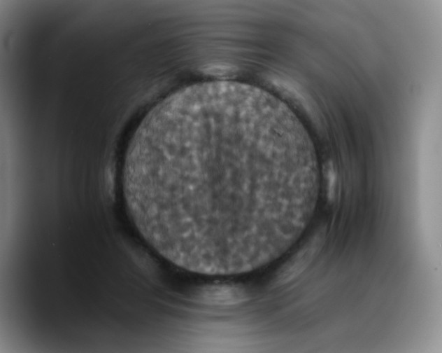 X0000089730404200707201845