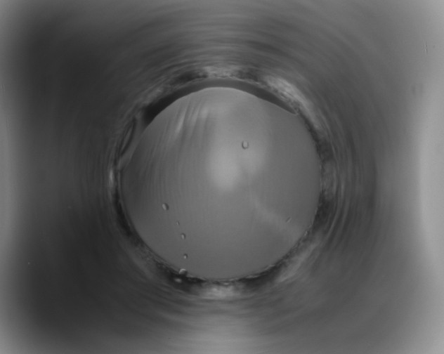 X0000089730405200707201845