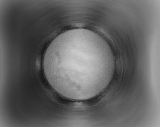 X0000089730406200707201845
