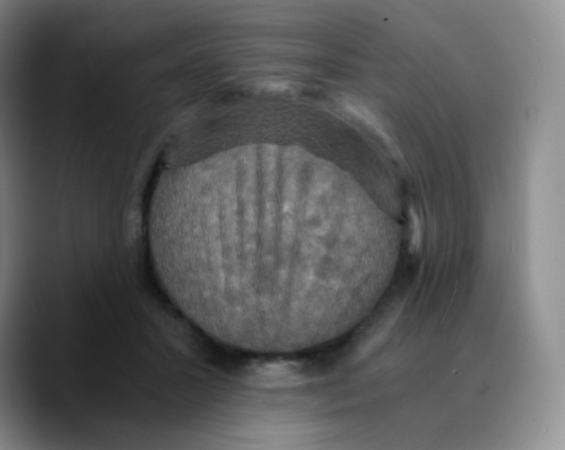 X0000089730407200707201845