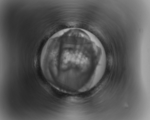 X0000089730408200707201845
