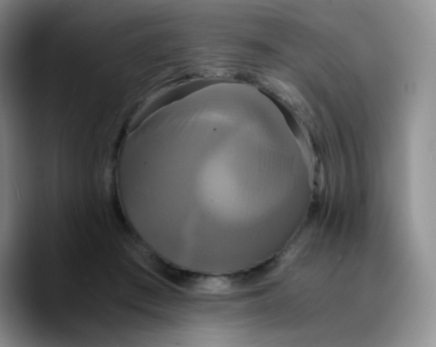 X0000089730409200707201845