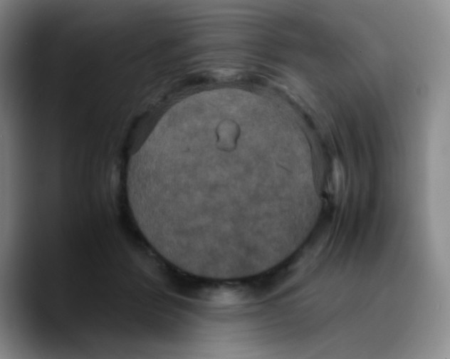 X0000089730412200707201845