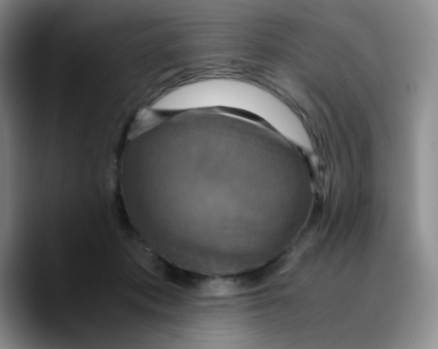 X0000089730413200707201845