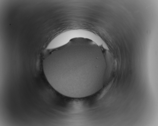 X0000089730416200707201845