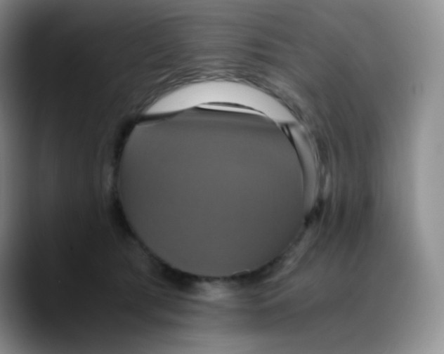 X0000089730417200707201845