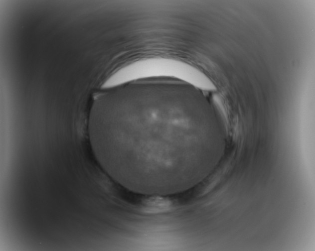 X0000089730421200707201845