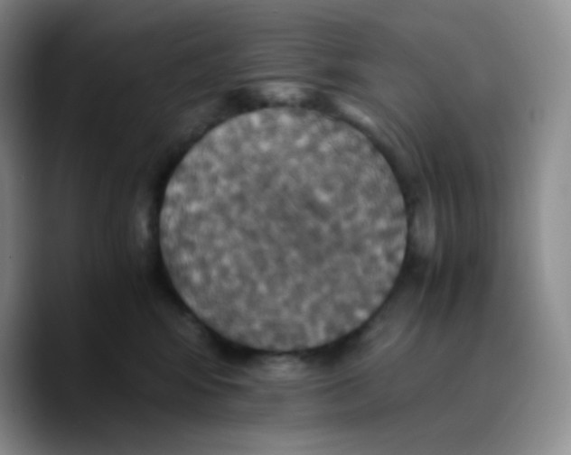 X0000089730424200707201845