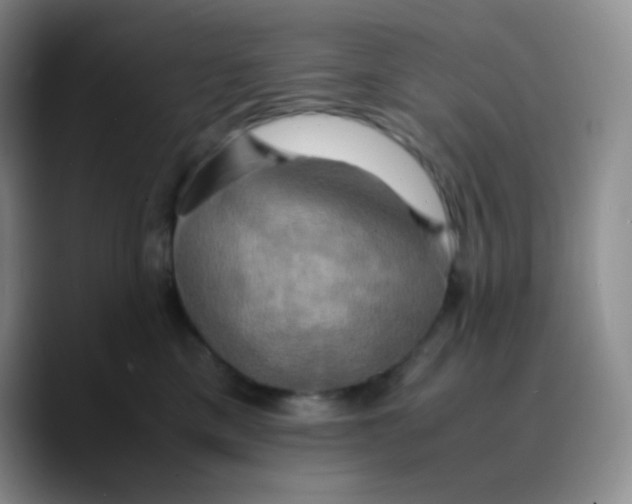 X0000089730425200707201845
