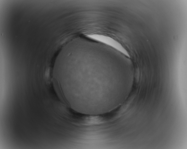 X0000089730428200707201845
