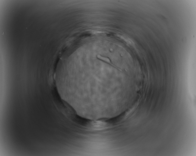 X0000089730429200707201845