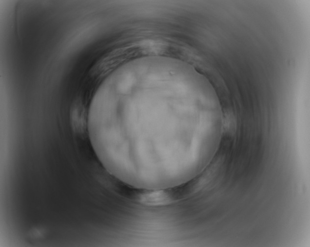X0000089730431200707201845