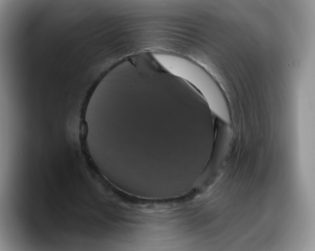 X0000089730434200707201844