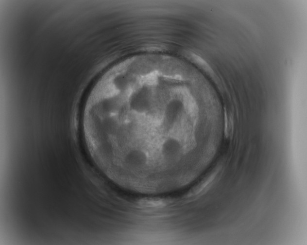 X0000089730435200707201844
