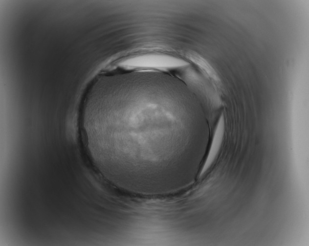X0000089730436200707201844
