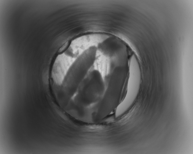 X0000089730437200707201844