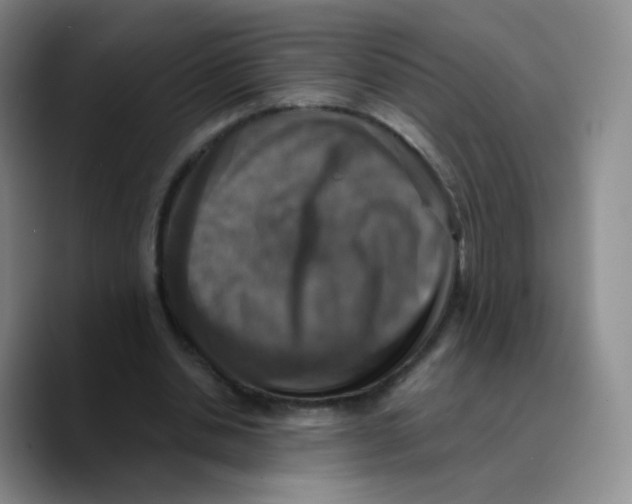 X0000089730438200707201844