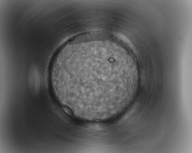 X0000089730439200707201844