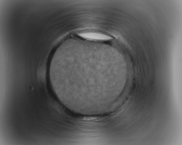 X0000089730440200707201844