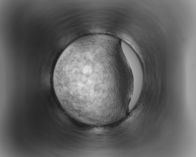 X0000089730441200707201844