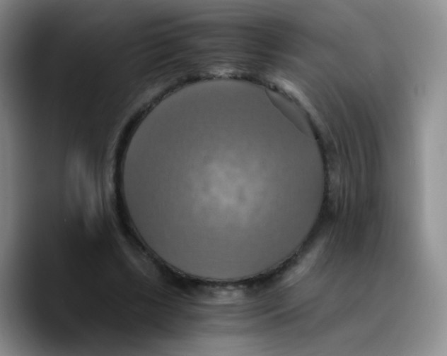 X0000089730443200707201844