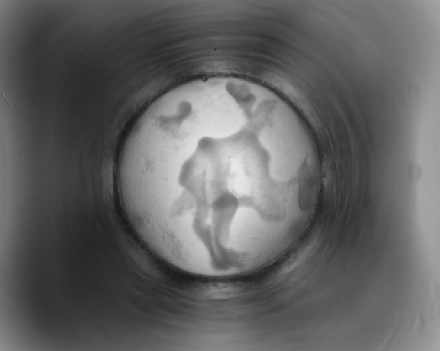 X0000089730445200707201844