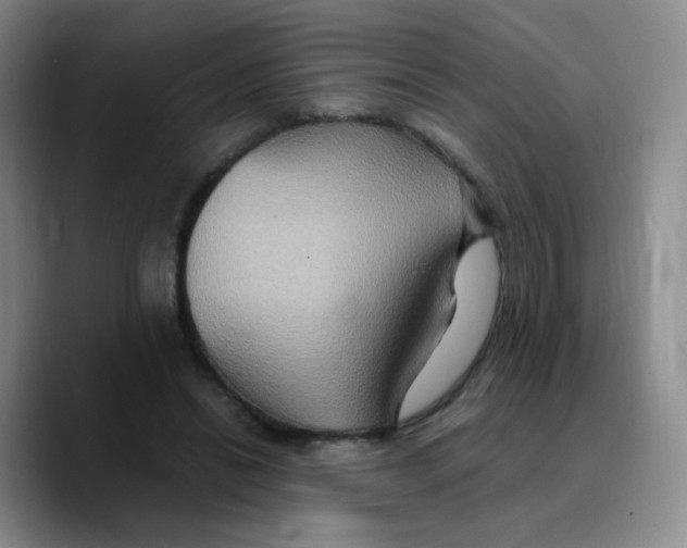 X0000089730446200707201844