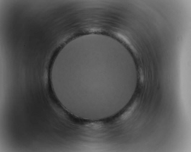 X0000089730447200707201844