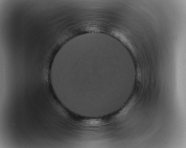X0000089730449200707201844