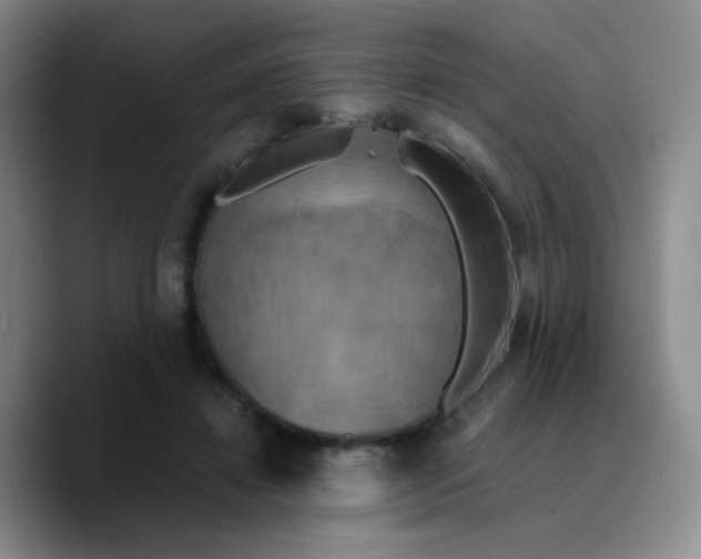 X0000089730452200707201844