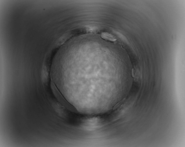 X0000089730456200707201845