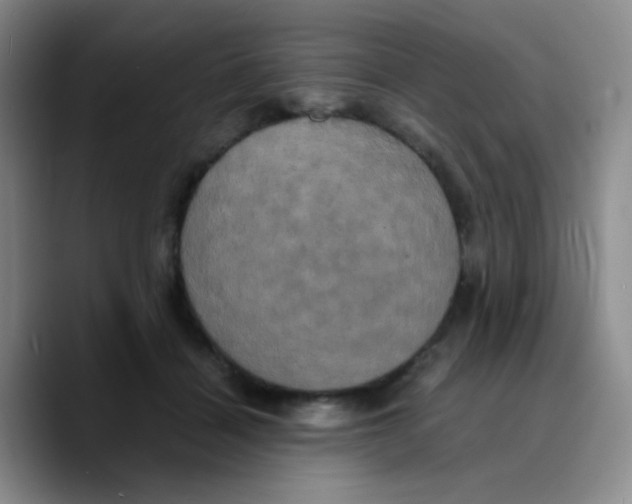 X0000089730460200707201845