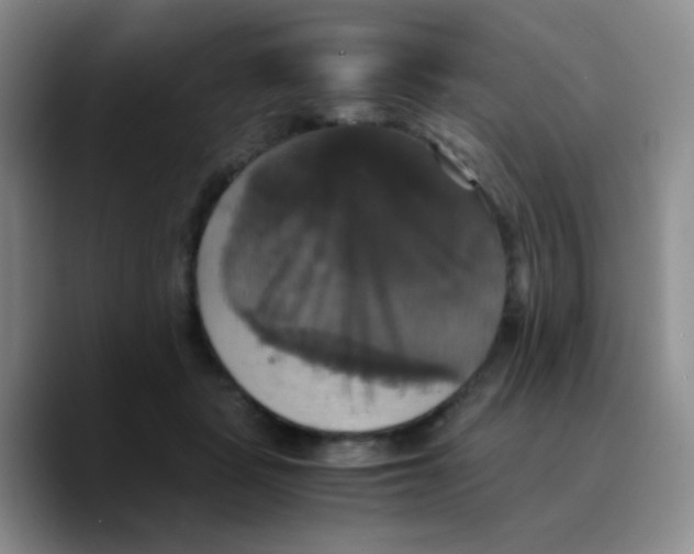 X0000089730461200707201845