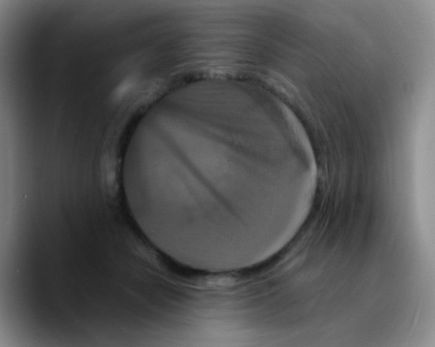 X0000089730462200707201845
